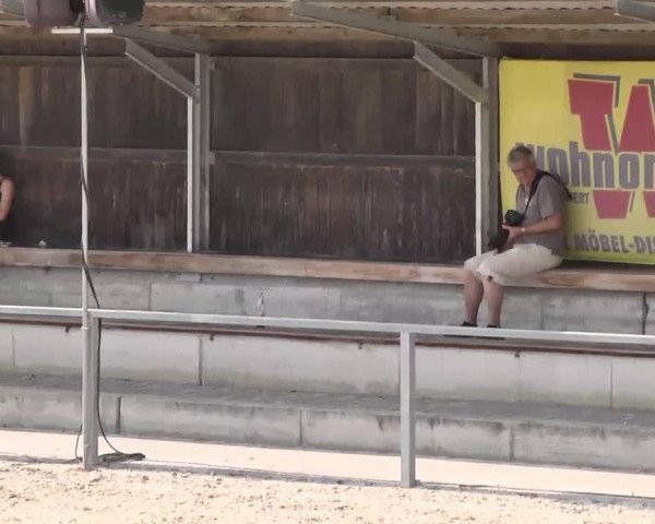 Reitturnier Ingolstadt-Hagau 2015
