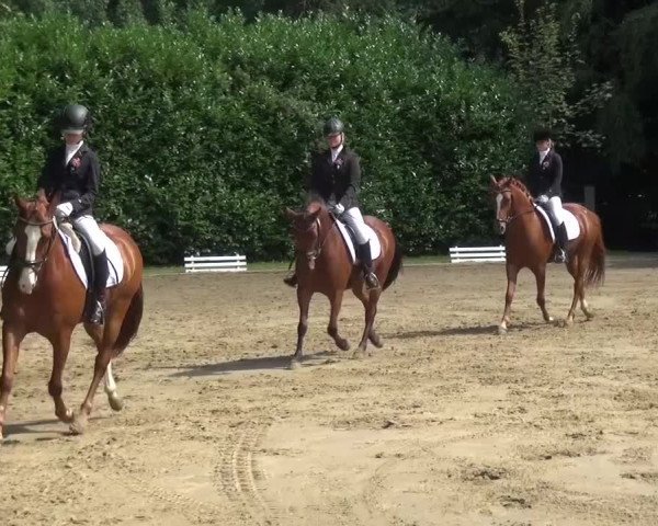 Reitturnier Viersen-Dülken 2015