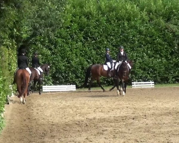 Reitturnier Viersen-Dülken 2015