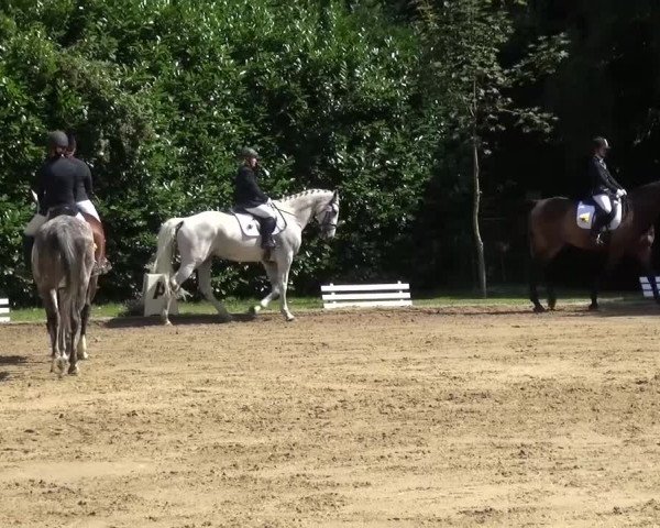 Reitturnier Viersen-Dülken 2015