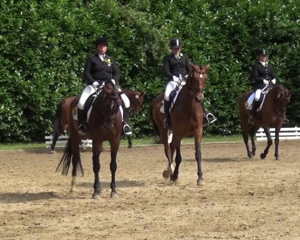 Reitturnier Viersen-Dülken 2015
