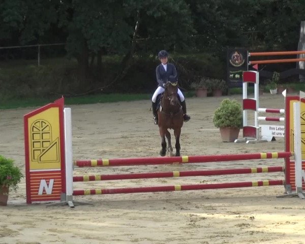 Reitturnier Viersen-Dülken 2015