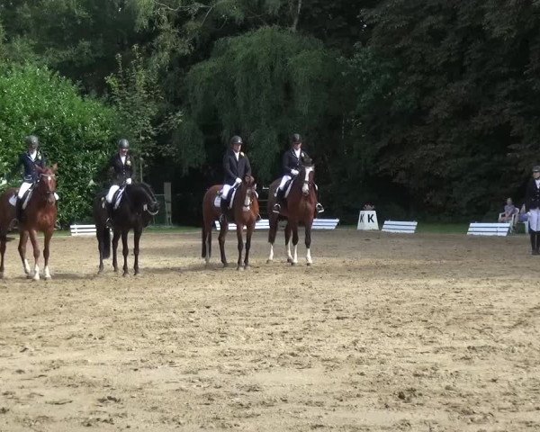 Reitturnier Viersen-Dülken 2015