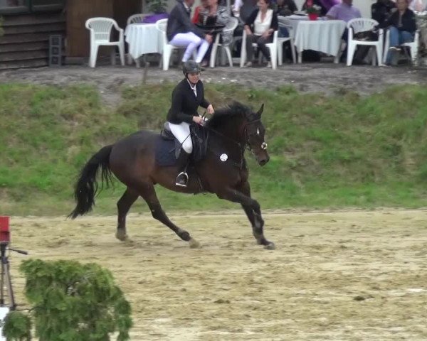 Reitturnier Viersen-Dülken 2015