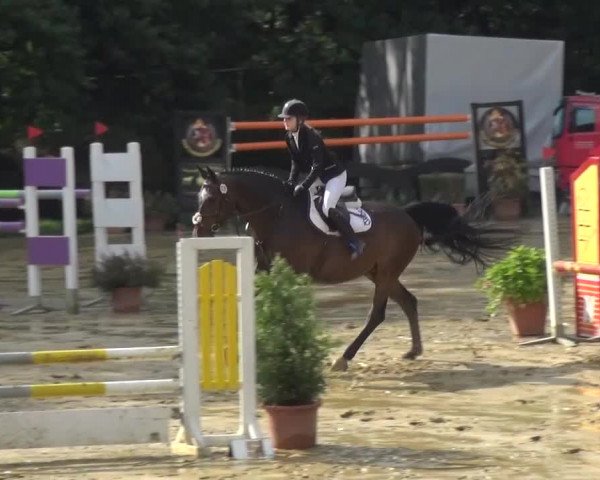 Reitturnier Viersen-Dülken 2015