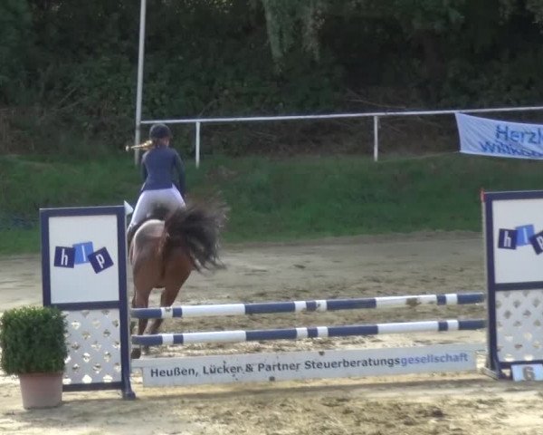 Reitturnier Viersen-Dülken 2015