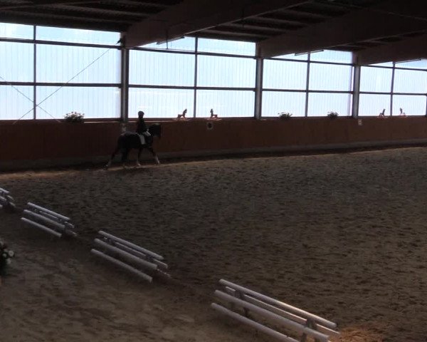 Reitturnier Herbern 2015