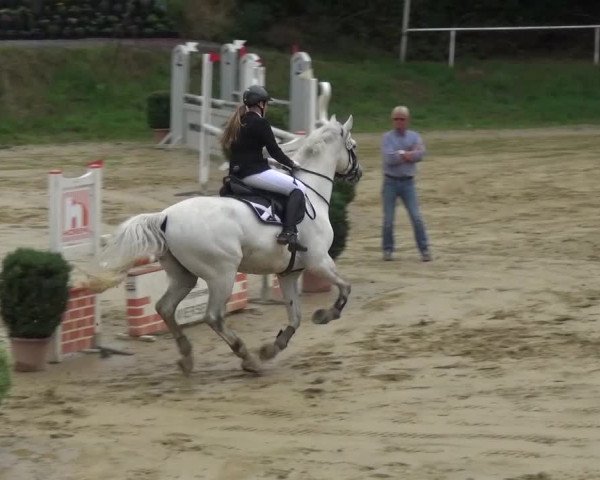Reitturnier Viersen-Dülken 2015