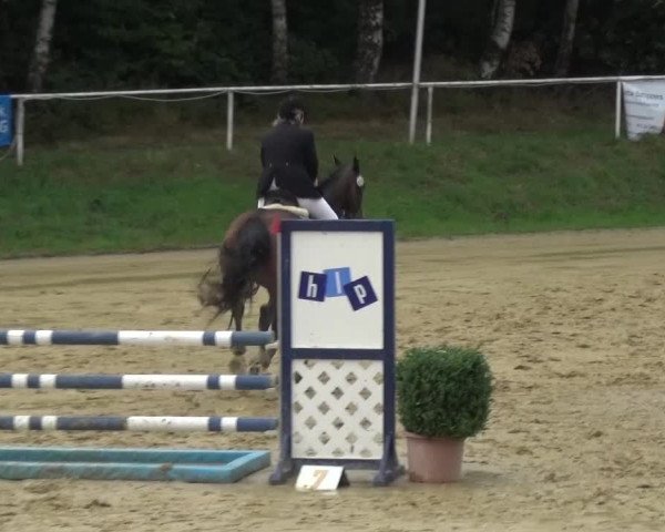 Reitturnier Viersen-Dülken 2015