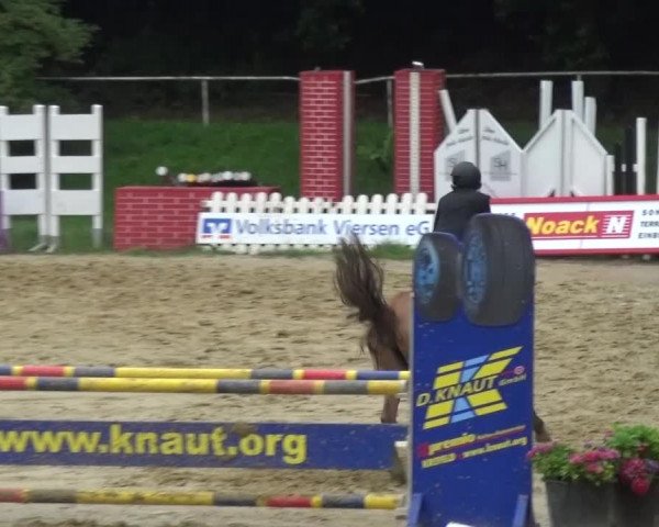 Reitturnier Viersen-Dülken 2015