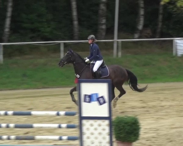 Reitturnier Viersen-Dülken 2015