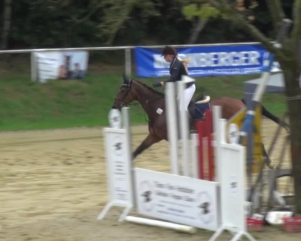 Reitturnier Viersen-Dülken 2015