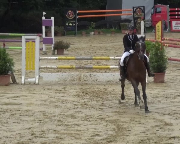 Reitturnier Viersen-Dülken 2015