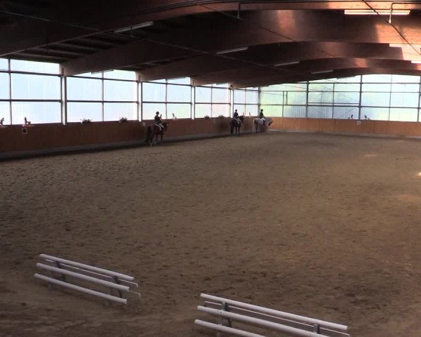 Reitturnier Herbern 2015