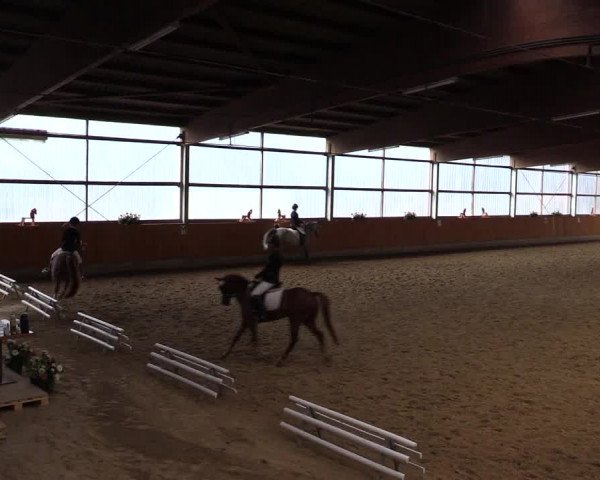 Reitturnier Herbern 2015