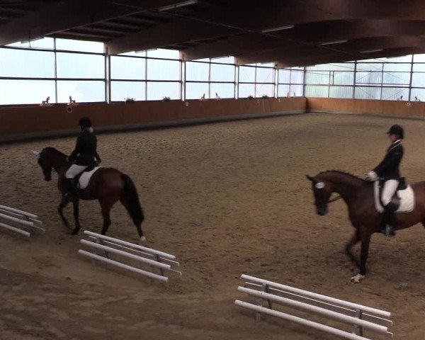 Reitturnier Herbern 2015