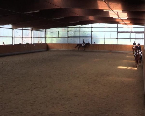 Reitturnier Herbern 2015