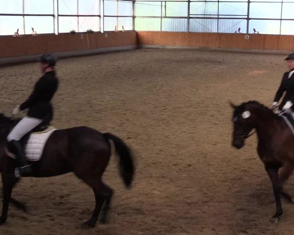 Reitturnier Herbern 2015