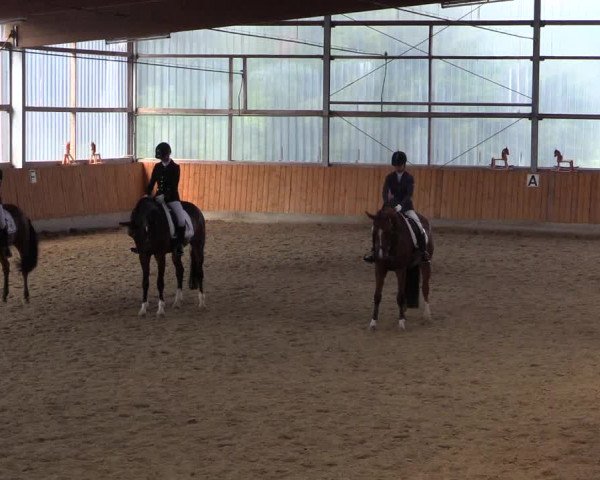 Reitturnier Herbern 2015