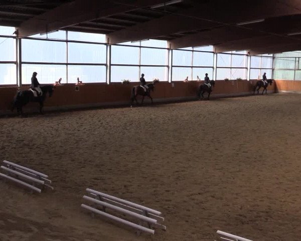Reitturnier Herbern 2015