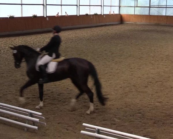 Reitturnier Herbern 2015