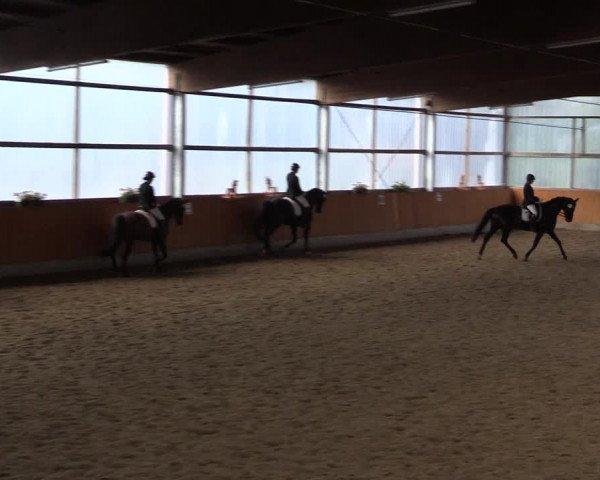 Reitturnier Herbern 2015