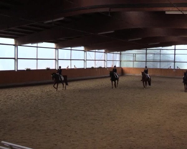 Reitturnier Herbern 2015