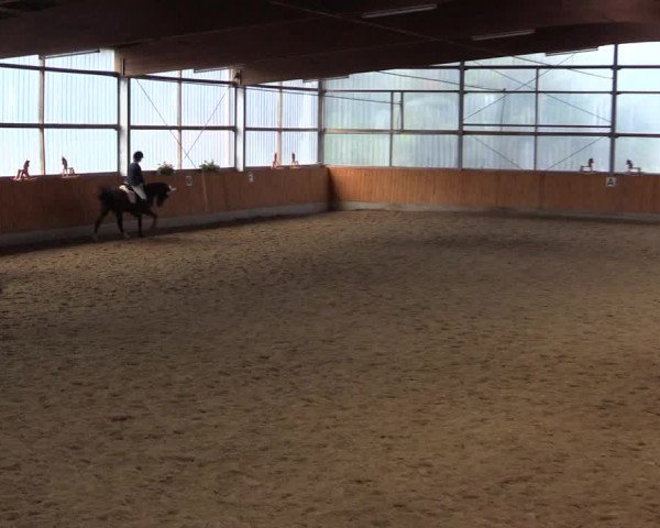 Reitturnier Herbern 2015