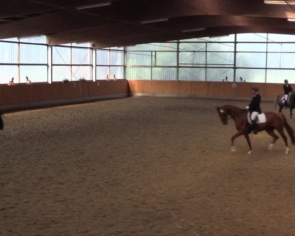 Reitturnier Herbern 2015