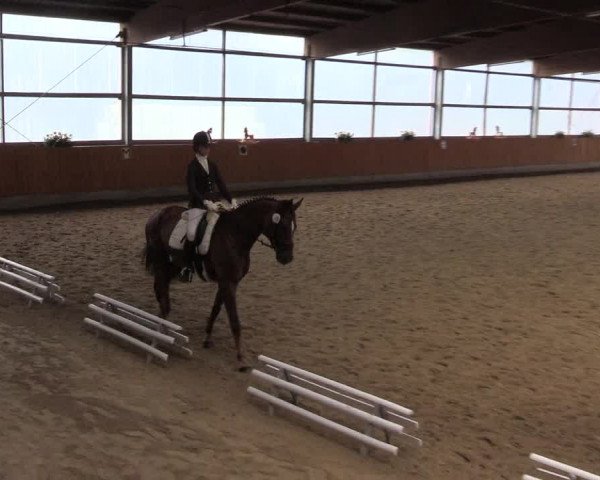 Reitturnier Herbern 2015