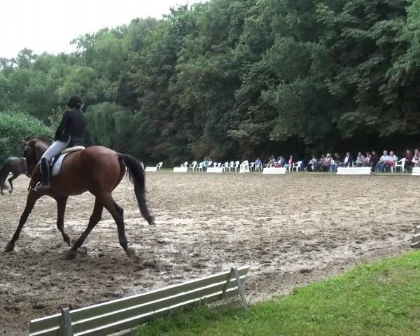 Reitturnier Viersen-Dülken 2015
