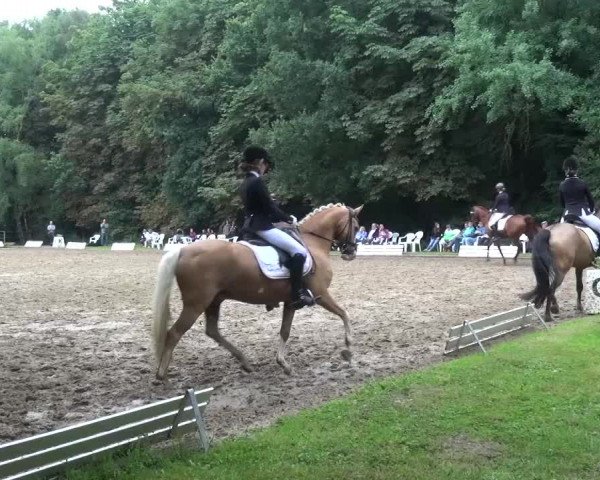 Reitturnier Viersen-Dülken 2015