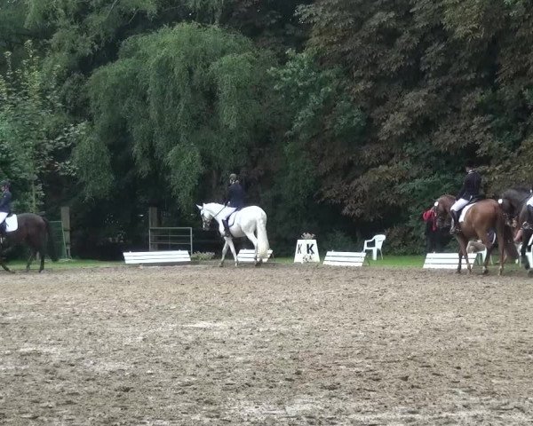 Reitturnier Viersen-Dülken 2015