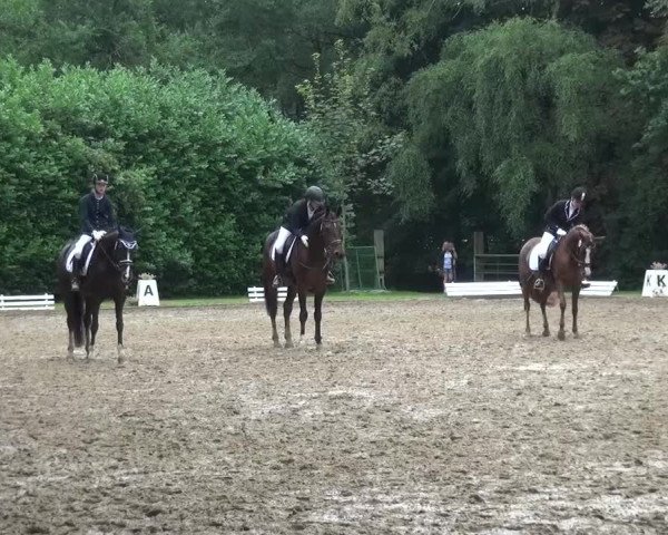 Reitturnier Viersen-Dülken 2015