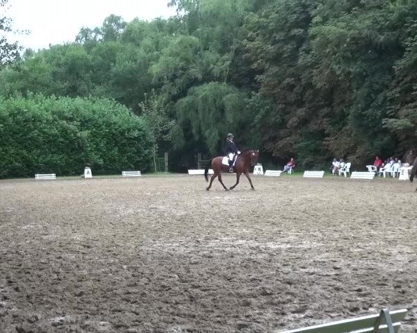 Reitturnier Viersen-Dülken 2015