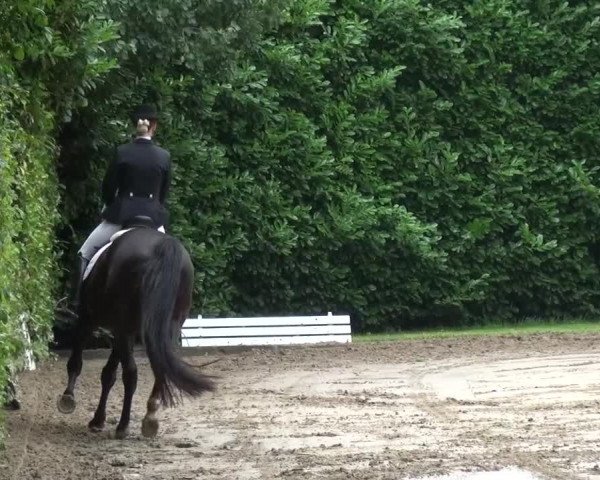 Reitturnier Viersen-Dülken 2015