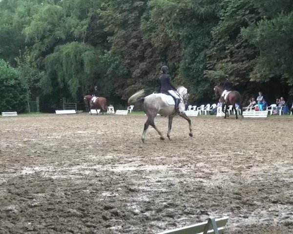 Reitturnier Viersen-Dülken 2015