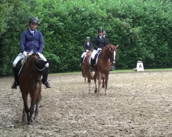 Reitturnier Viersen-Dülken 2015