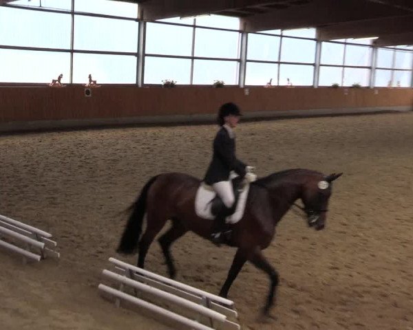 Reitturnier Herbern 2015