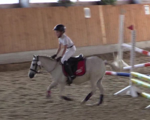 Reitturnier Herbern 2015