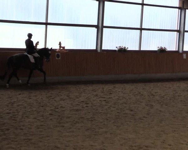Reitturnier Herbern 2015