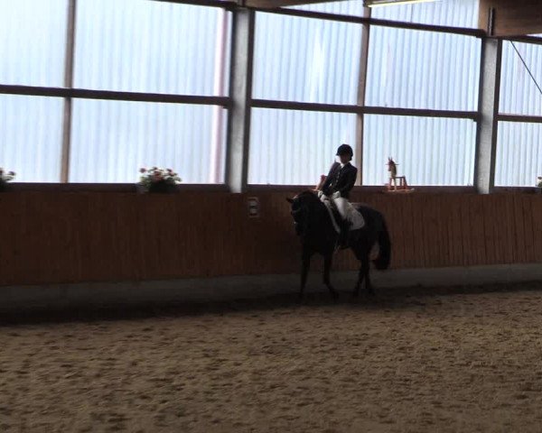 Reitturnier Herbern 2015