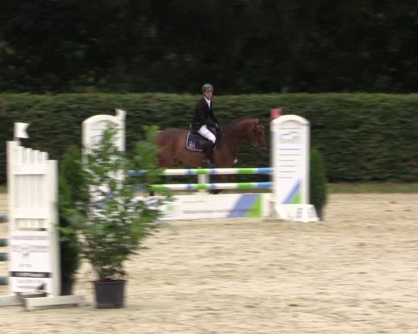 Vinnumer Reitertage 2015
