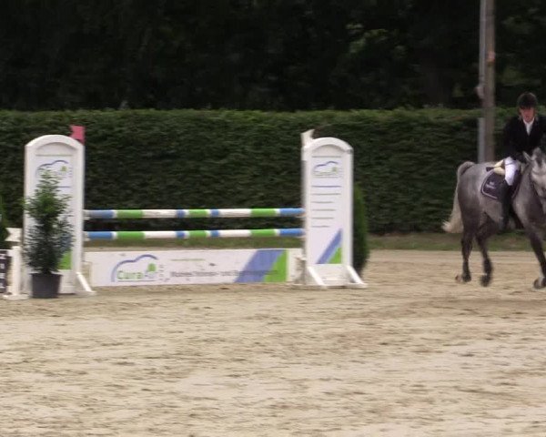 Vinnumer Reitertage 2015