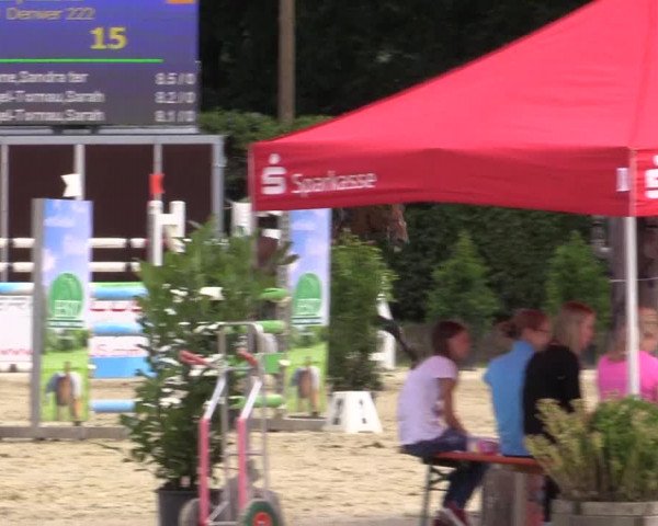 Vinnumer Reitertage 2015