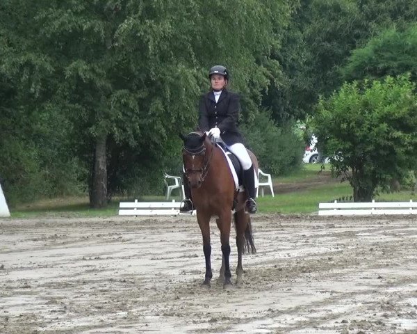 Reitturnier Viersen-Dülken 2015