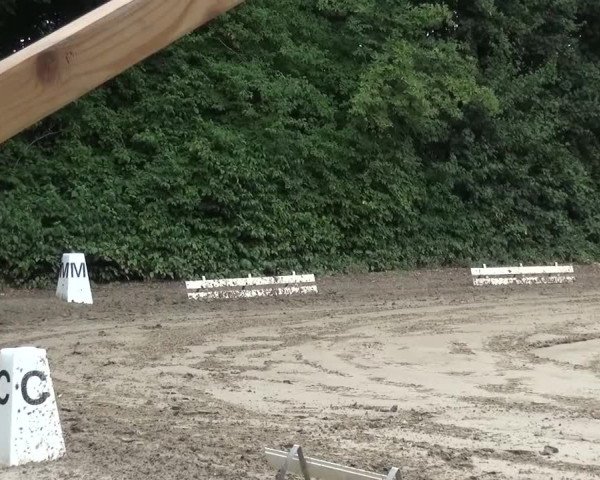 Reitturnier Viersen-Dülken 2015