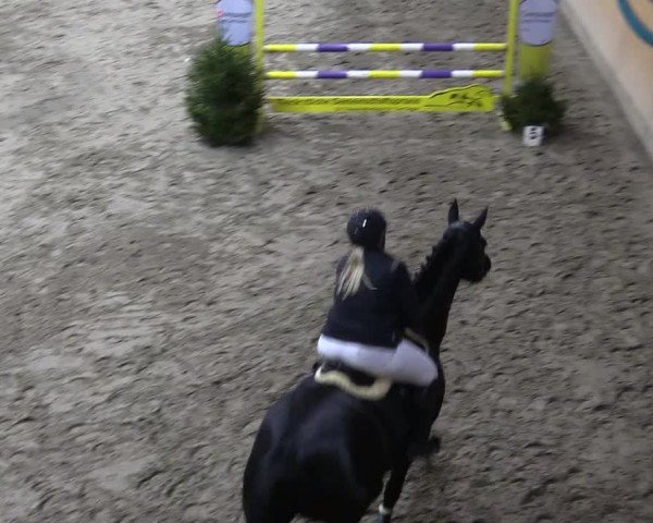 Adventsturnier Leck 2021
