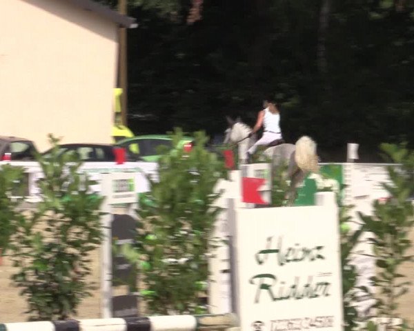 Vinnumer Reitertage 2015