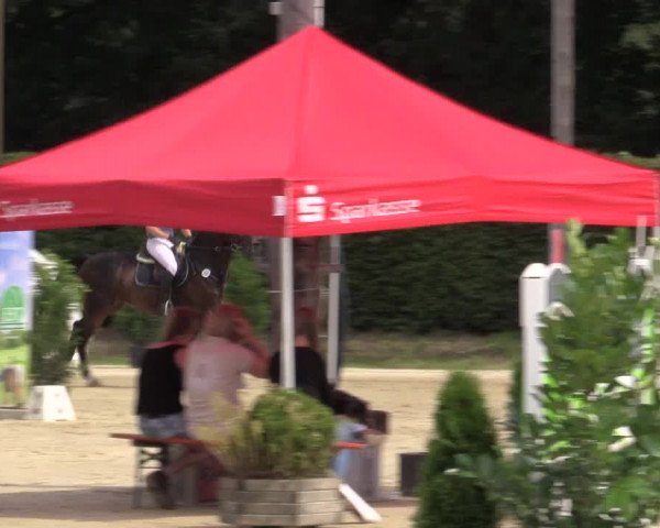 Vinnumer Reitertage 2015